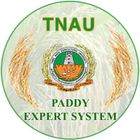 Paddy icon