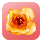 A flor de piel icon