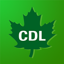 CDL Mobile APK
