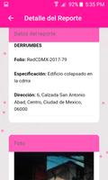 Red CDMX screenshot 2