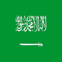 saudi day Affiche