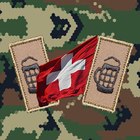 RS Armee - Truppen / Abzeichen icon