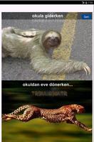 Troll Bilimi syot layar 1