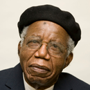 Quotes of Chinua Achebe APK