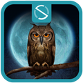 Hoot (Owl)