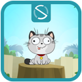 Pet Cat