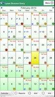 Poster Lyme Disease Diary