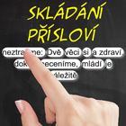 Skládání Přísloví icon