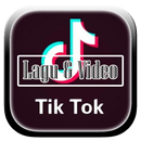 Best Tîk Tok Lagu & Video-APK