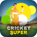 क्रिकेट सुपर टूर्नामेंट - आईपीएल मैच 2018 APK