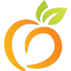 Peach State icône