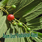 Obat Asam Urat Tradisional Alami Manjur 圖標