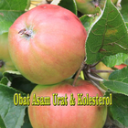 Obat Asam Urat dan kolesterol আইকন