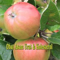 Obat Asam Urat dan kolesterol স্ক্রিনশট 1