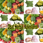 Obat Herbal Kolesterol Alami آئیکن