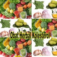 Obat Herbal Kolesterol Alami imagem de tela 1