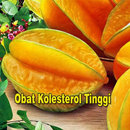 Obat Kolesterol Tinggi Alami APK