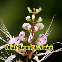 Obat Rematik Alami gönderen