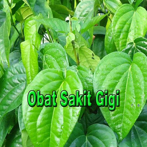 Obat Sakit Gigi Herbal Alami for Android - APK Download