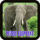 Game Puzzle Elephant icône