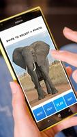 Game Puzzle Elephant Cartaz