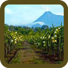 Mountains and Village Puzzle 图标