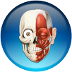 HiDoctor® Atlas APK