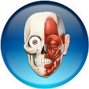 HiDoctor® Atlas-APK