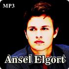 Ansel Elgort Supernova ikona