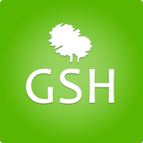 GSH icône