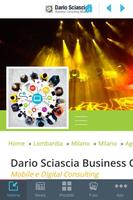 D.Sciascia Business Consulting Affiche