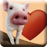 Cerdito in Love