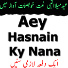 Ay Hasnain k Nana Milad Naat icône