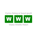 Wales Wildlife Watch APK