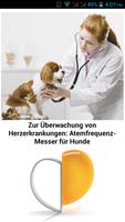 Atemfrequenz-Messer für Hunde 포스터