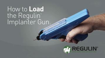 Regulin ภาพหน้าจอ 2