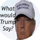 What Would Trump Say ícone