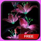 Glitter Lilies Live Wallpaper LWP Background Theme icono