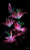 Glitter Lilies Live Wallpaper LWP Background Theme 스크린샷 1