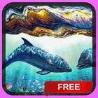 آیکون‌ Dolphins Underwater Live Wallp