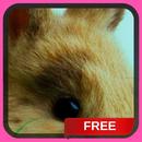 Happy Bunny Live Wallpaper APK