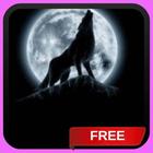 Running Wolf Live Wallpaper أيقونة