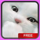 White Kitten Live Wallpaper Background Cat Theme icône