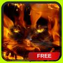 Fire Cat Live Wallpaper Theme APK