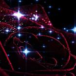 Magic Rose Live Wallpaper LWP Background Theme