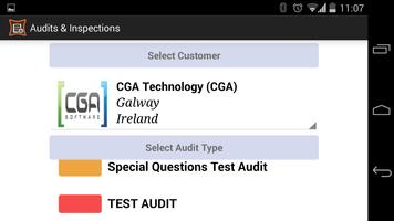 Flex Audits 포스터