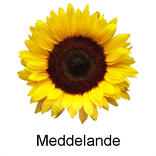 Treserva – Meddelande