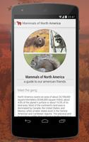 Mammals of North America poster