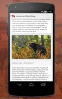 Mammals of North America 스크린샷 2