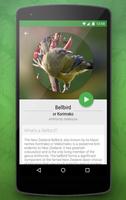 Birdlife of New Zealand screenshot 1